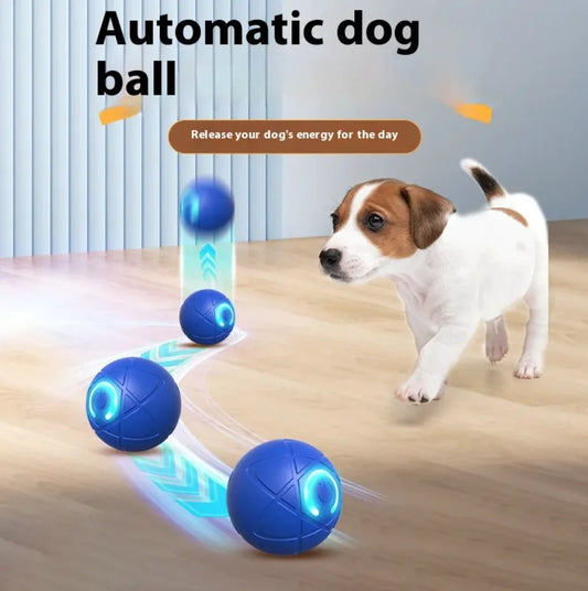 Interactive Crazy Ball