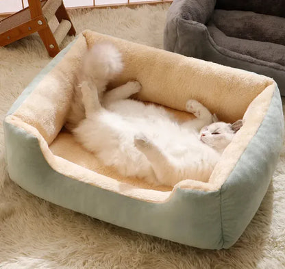 cloud bed